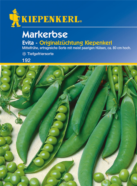  KIEPENKERL Markerbsensamen „Evita“