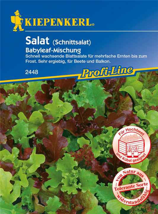  KIEPENKERL Babyleaf-Salat Samen