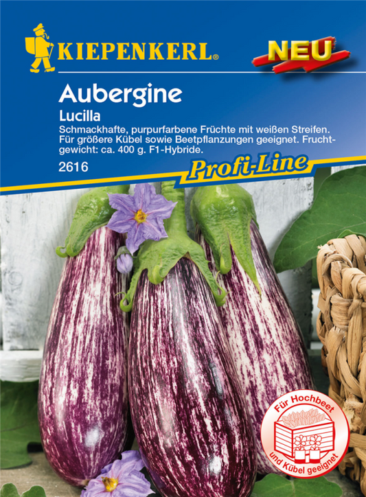  KIEPENKERL Auberginensamen „Lucilla“