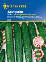  KIEPENKERL Salatgurkensamen „Eiffel“
