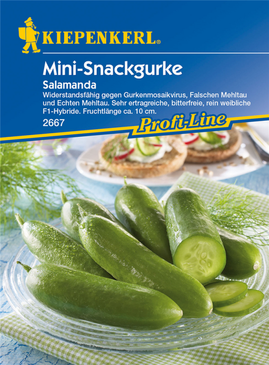  KIEPENKERL Mini-Snackgurkensamen „Salamanda F1“
