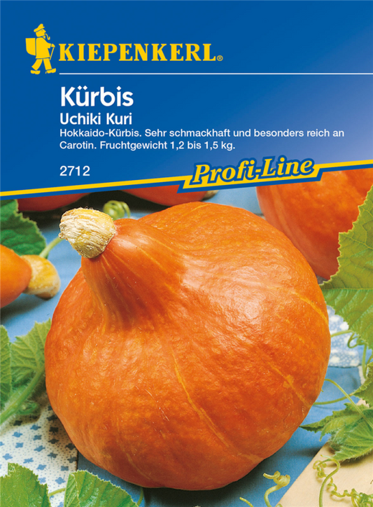  KIEPENKERL Kürbissamen „Uchiki Kuri“