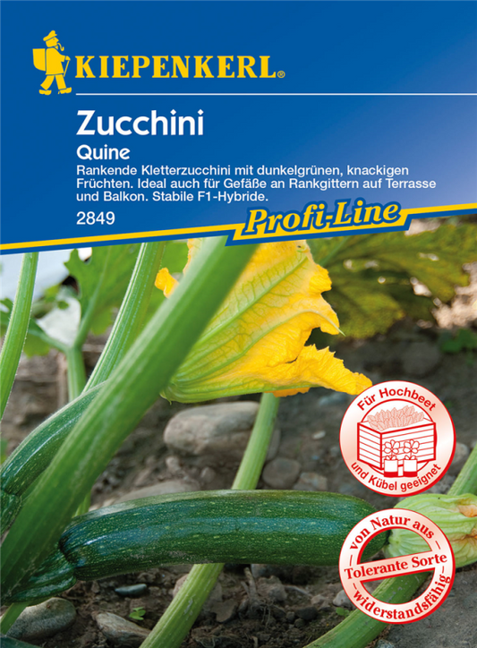  KIEPENKERL Kletter-Zucchinisamen „Quine“