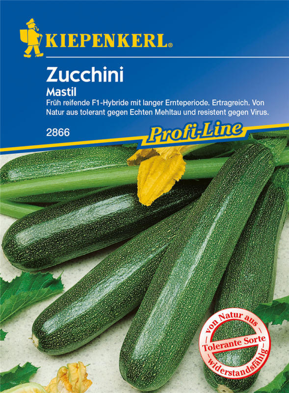  KIEPENKERL Zucchinisamen „Mastil“