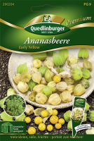  QUEDLINBURGER Ananasbeerensamen „Early Yellow“