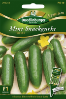  QUEDLINBURGER Gurkensamen „Picolino“