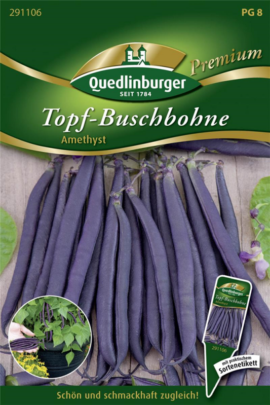  QUEDLINBURGER Buschbohnensamen „Amethyst“