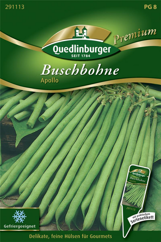  QUEDLINBURGER Buschbohnensamen „Apollo“