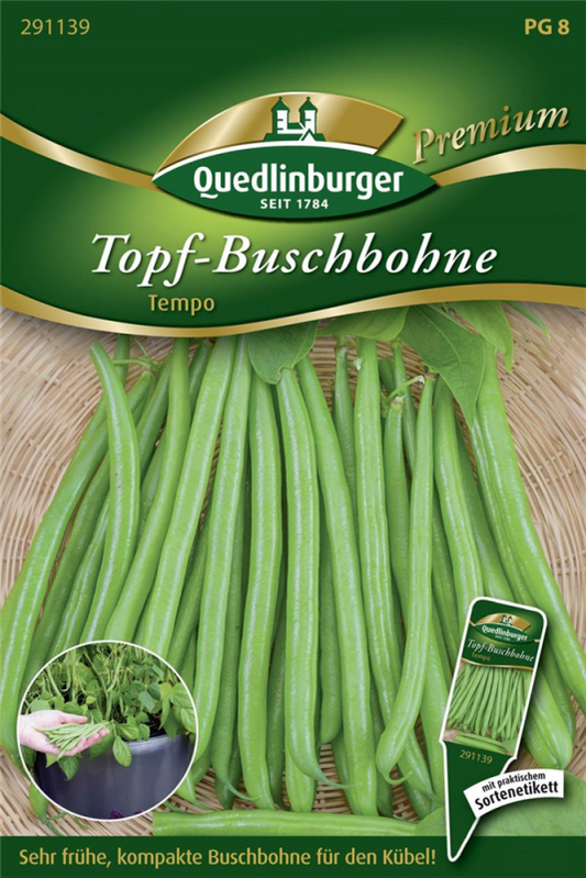  QUEDLINBURGER Buschbohnensamen „Tempo“