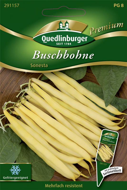  QUEDLINBURGER Buschbohnensamen „Sonesta“