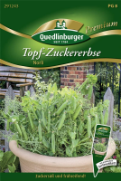  QUEDLINBURGER Kiefelerbsensamen „Norli“
