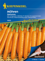  KIEPENKERL Möhrensamen „Narbonne“