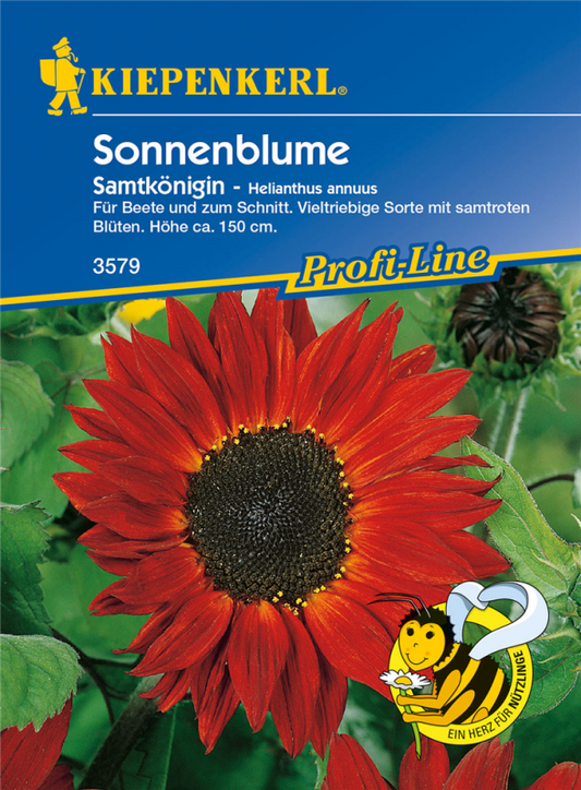  KIEPENKERL Sonnenblumensamen „Samtkönigin“