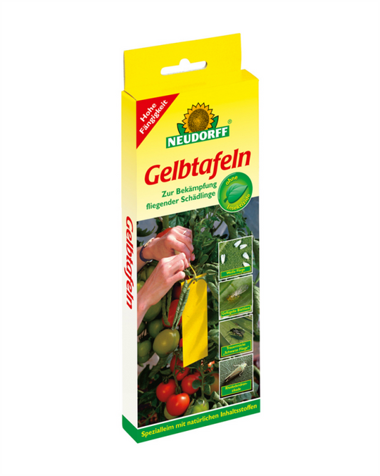  NEUDORFF Gelbtafeln, Klein