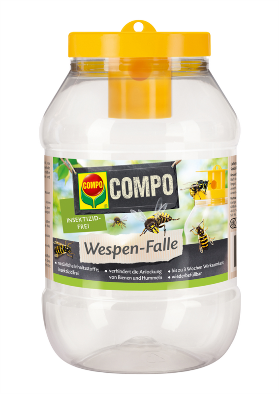  COMPO Wespenfalle, 1 Stück