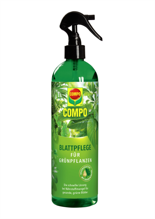  COMPO Blattpflege Für Grünpflanzen, 500 Ml
