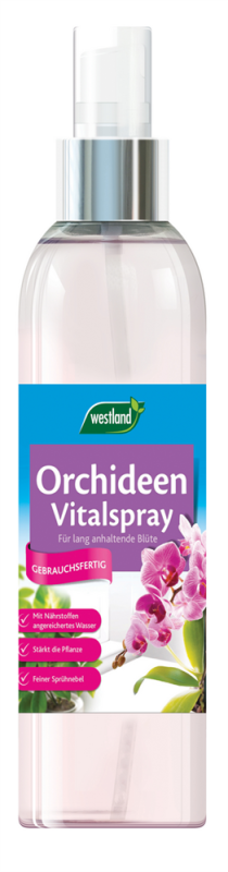  WESTLAND Orchideen Vitalspray, 250 Ml