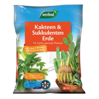  WESTLAND Kakteen-& Sukkulentenerde, 4 L