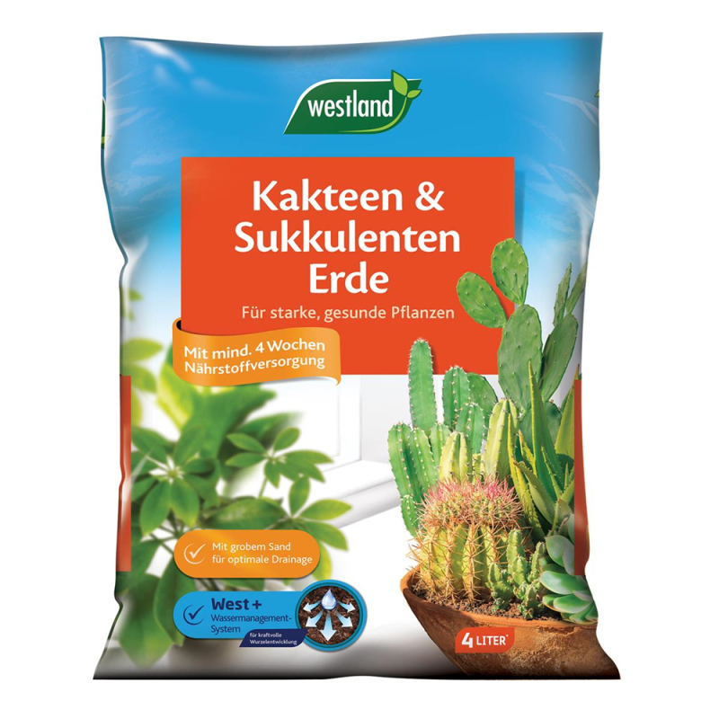  WESTLAND Kakteen-& Sukkulentenerde, 4 L