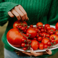  WESTLAND Tomaten-& Gemüseerde, 20 L