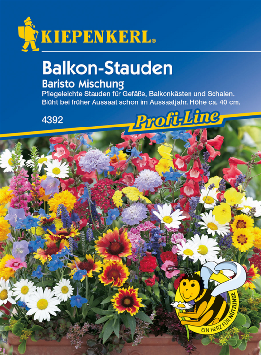  KIEPENKERL Balkonstaudensamen „Baristo“