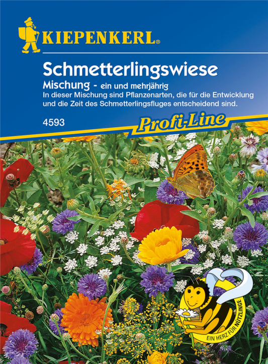  KIEPENKERL Schmetterlingsweide Samen