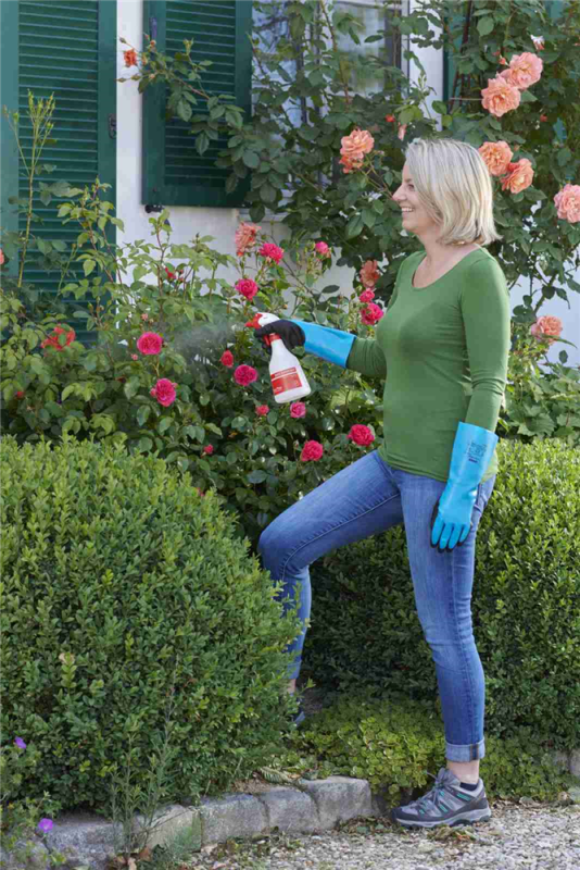  BIRCHMEIER Handsprühgerät „Foxy Plus“, 0,5 L