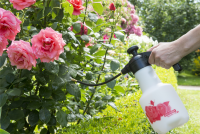  BIRCHMEIER Drucksprühgerät „Rose Star 1.25“, 1,25 L