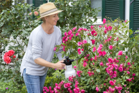  BIRCHMEIER Drucksprühgerät „Rose Star 1.25“, 1,25 L