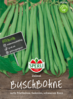  SPERLI Buschbohnensamen „Delinel“