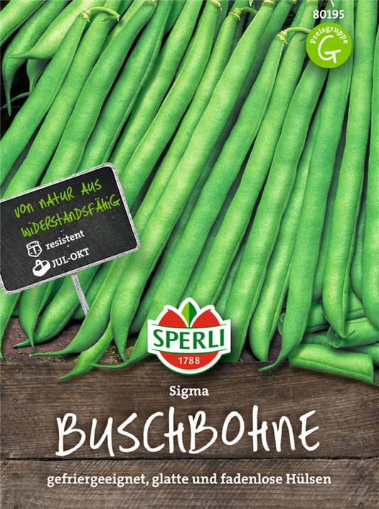  SPERLI Buschbohnensamen „Sigma“