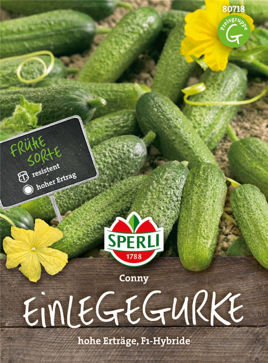  SPERLI Einlegegurkensamen „Conny F1“