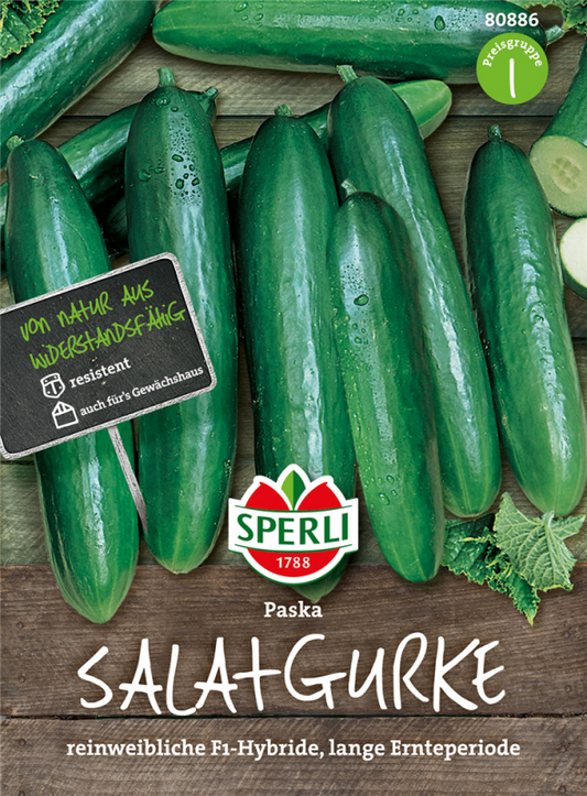  SPERLI Salatgurkensamen „Paska“