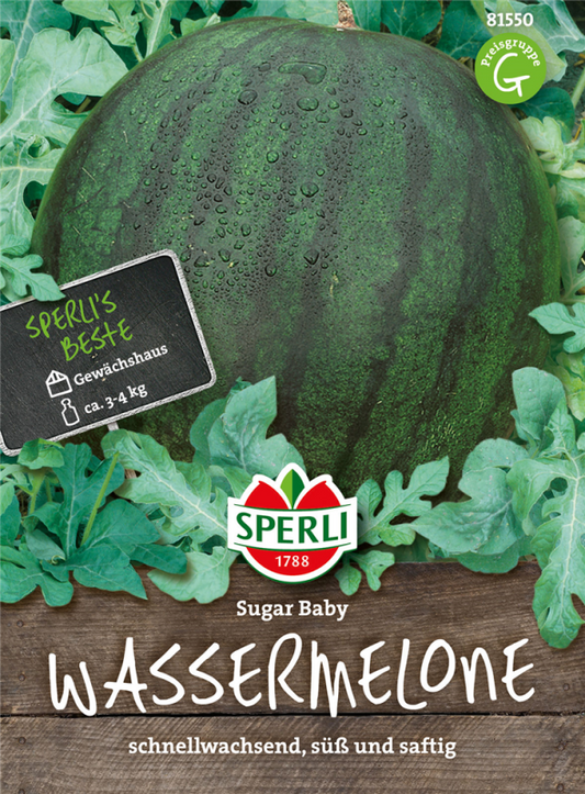  SPERLI Kompakte Wassermelonesamen „Sugar Baby“