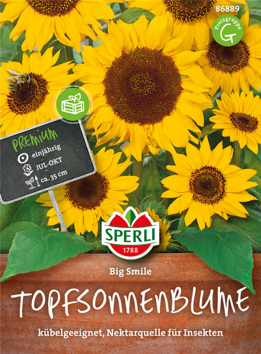  SPERLI Sonnenblumensamen „Big Smile“