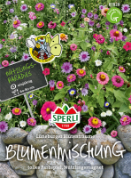  SPERLI Blumenmischung „Lüneburger Blütenträume“