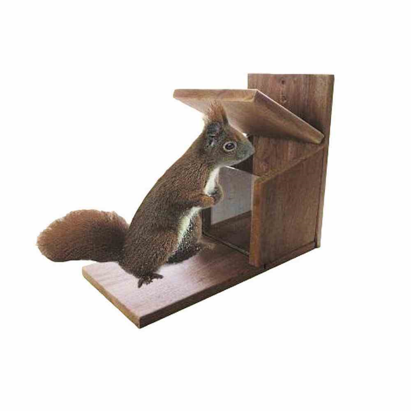  AP.HOSS Futterstation Für Eichhörnchen, 27 Cm