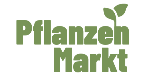 Pflanzen Markt