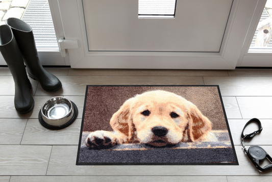  SALONLÖWE Fussmatte „Nosy Dog“