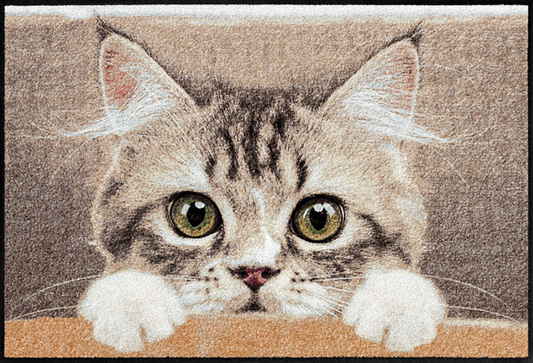  SALONLÖWE Fussmatte „Nosy Cat“