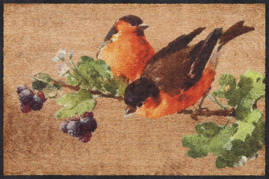  SALONLÖWE Fussmatte „Nosy Robin“